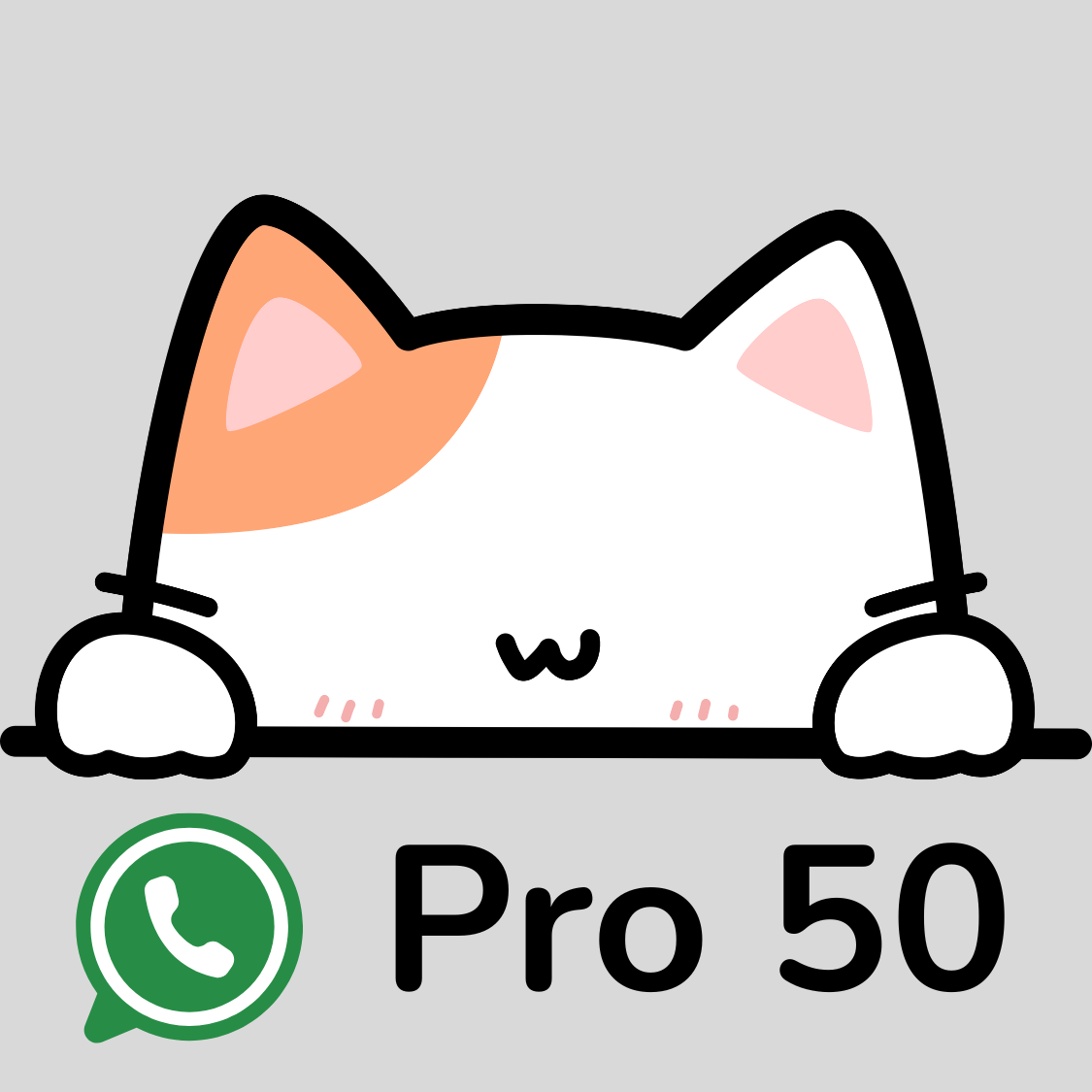 whatsapp aplikasikita pro 50